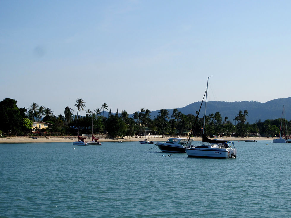 Koh Tao (51).JPG