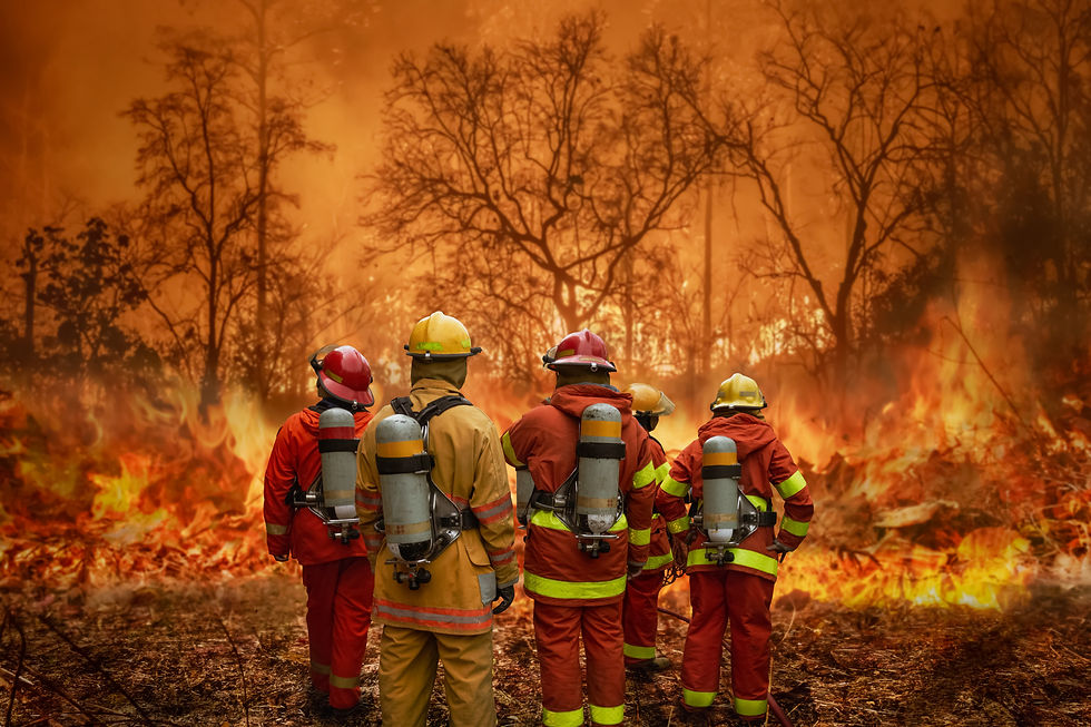 Firefighters look at a forest on fire and prepare to battle the wildfire.