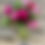 Thumbnail: Single Seasonal Bouquet - Delivery available on Thursday or Friday 