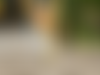 Land Amalgamation in Kenya: How Developers and Landowners Unlock More Value