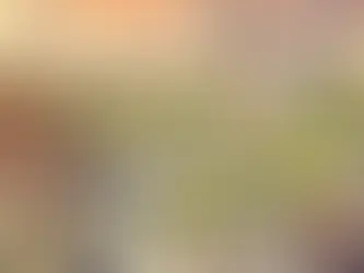 The Perfect Country: A Vision of What Could Be