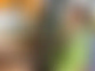 Is a Career as an Excavator Operator Right for You?Discovering Your Path and Using It as a Stepping Stone to Owning an Earthmoving Business