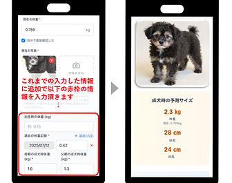 スクリーンショット 2025-07-27 135111_edited.jpg
