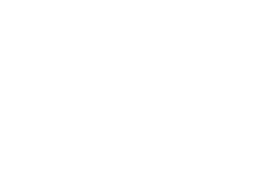 fond.png