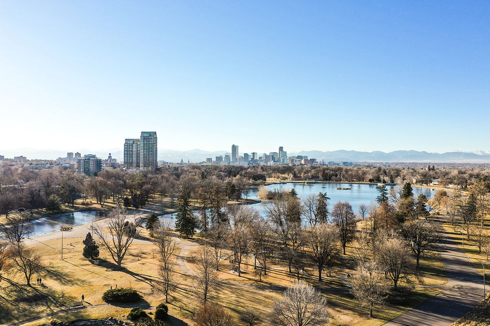 Denver skyline over a park