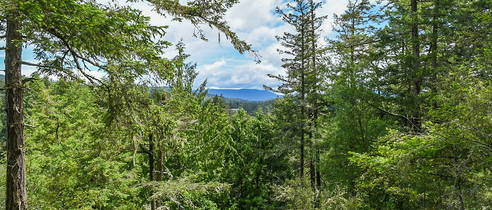 View of Mt. Constitution