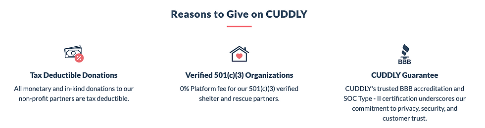 Overview of why you should donate to Cuddly for National Black Cat Day.