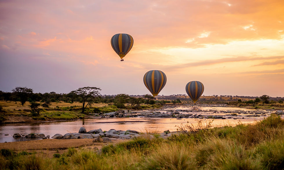 tanzania-wild-sky-rcGU1VUgLos-unsplash.jpg