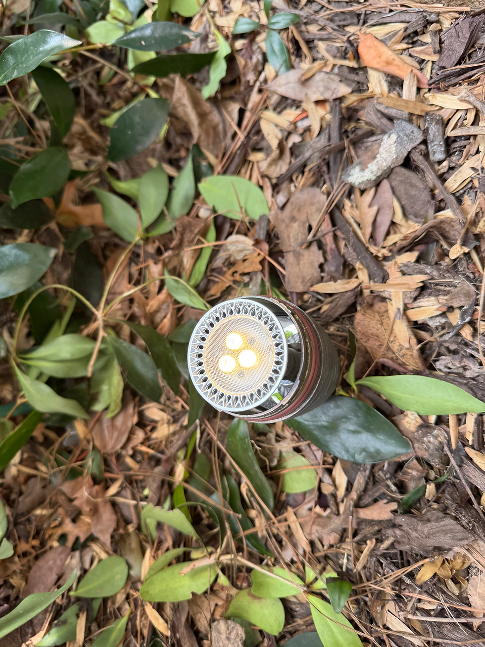 How to check for burnt out landscape light bulb