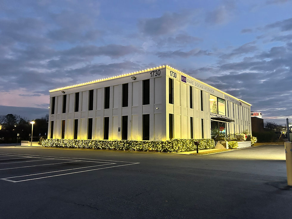 Brighten Your Business and Home This Holiday Season with Christmas Light Installation in Atlanta, GA