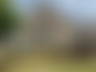 Experience the Professional Best Window Cleaning Services in North Atlanta with Pro Shine Window Cleaning