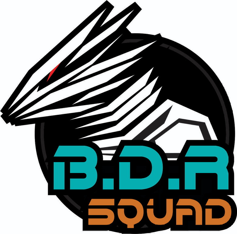 Writer: BDR SQUAD