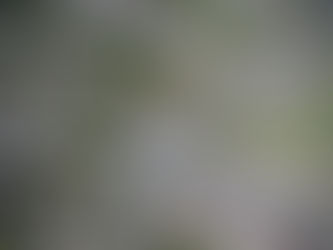 Neighborhood Revitalization: Selling in Emerging Areas