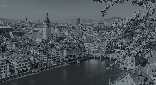 Alt-Text: „Fachkundige Revision und Wirtschaftsprüfung am Standort Zürich für Schweizer Unternehmen und Konzerne – Passion Revision bietet ordentliche und eingeschränkte Revisionen nach Schweizer OR durch einen zugelassenen Revisionsexperten.