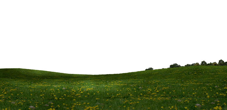 Clash of Clans background | Clash Made EZE