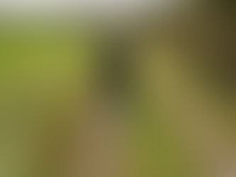 Warum ich meinen Kurs „YES – zu mir“ entwickelt habe