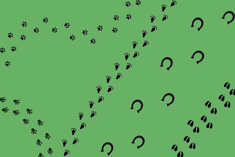 Green Wateroclor Leaf Linktree Background (1).png