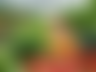 ***The Essential Connection in Wholesale: Farmers and Retailers***