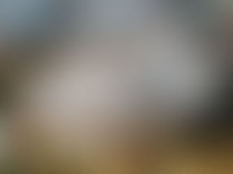 The nature of human violence tears apart our species