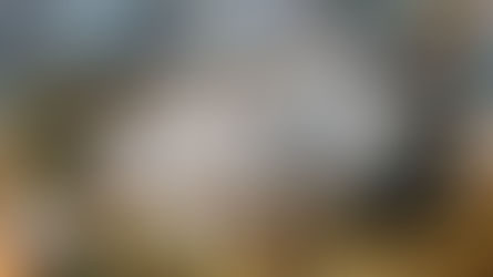 The nature of human violence tears apart our species