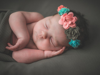 Traverse City Newborn Photographer | Meet Baby Suzie!