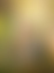 Senior Photos Traverse City | Traverse City Central High School | Paige Class of 2019