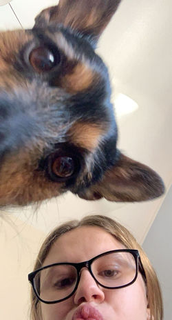Bella doggo