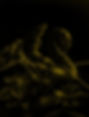 Scham-shabby_edited_edited.jpg