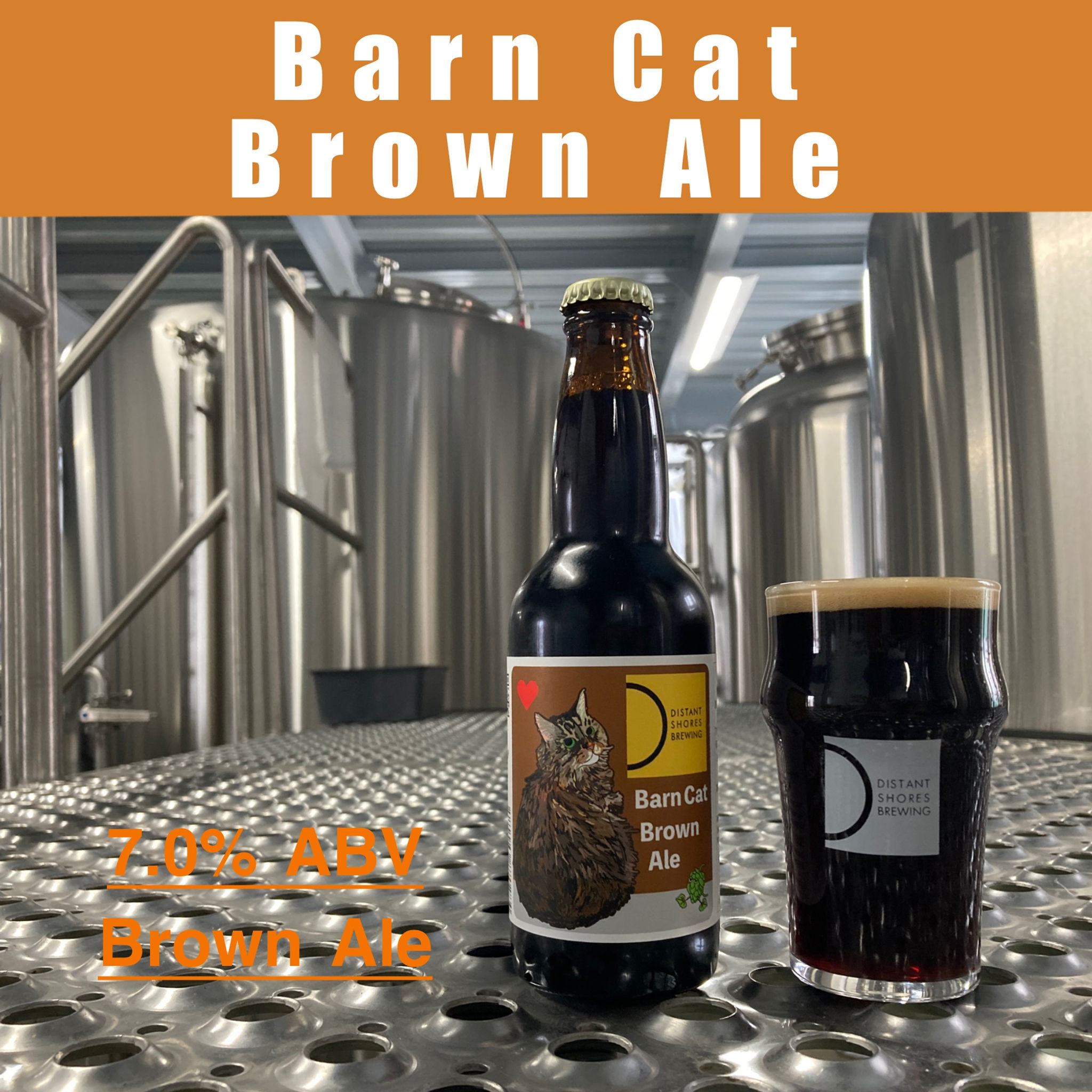 Barn Cat - brown Ale - 330ml x6