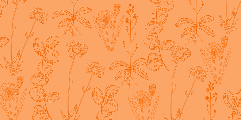 flowers.png