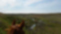 MainPage_Header_edited.jpg