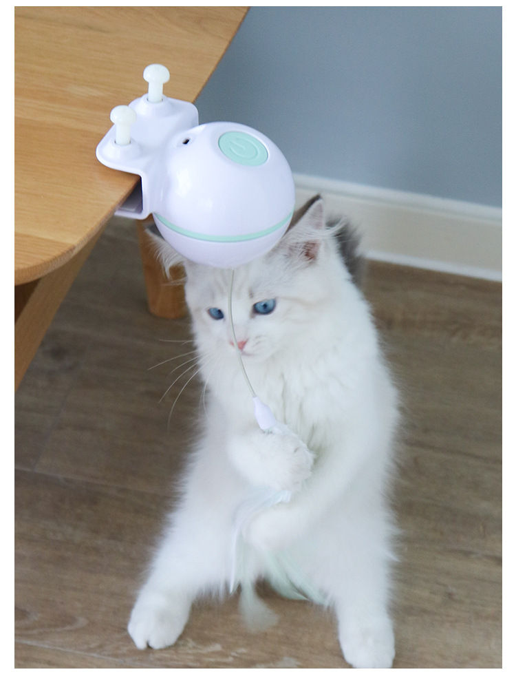 USB Interactive Cat Teaser Toy