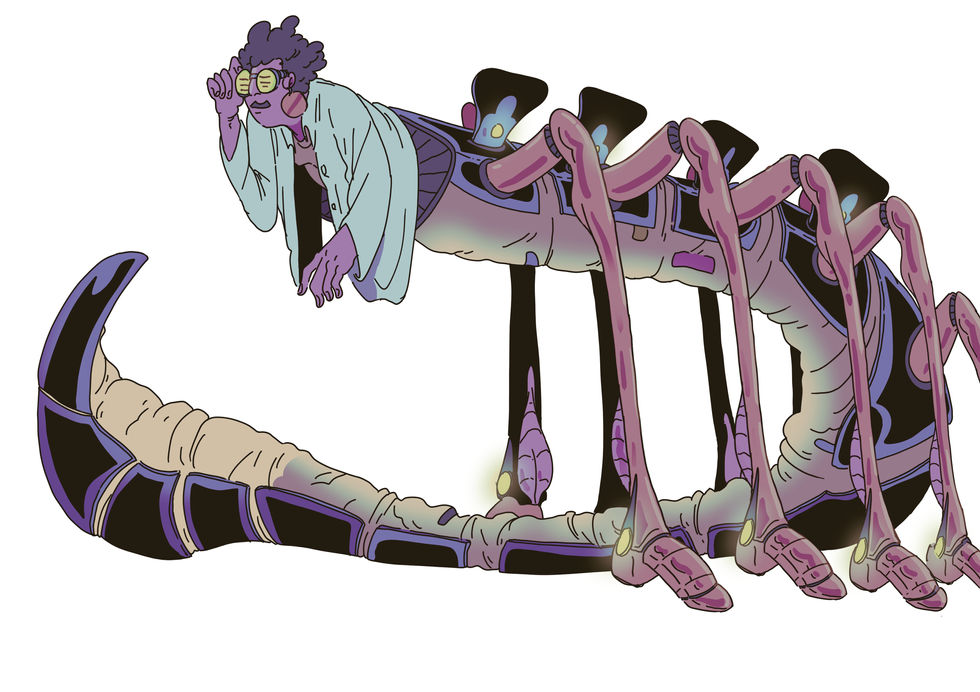 anat-spine