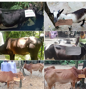 WhatsApp Image 2023-10-31 at 14.08_edite