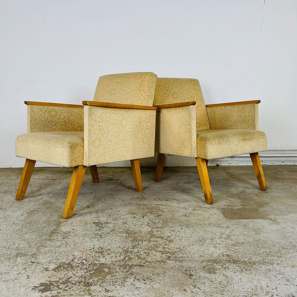 Thumbnail: FAUTEUILS set van twee