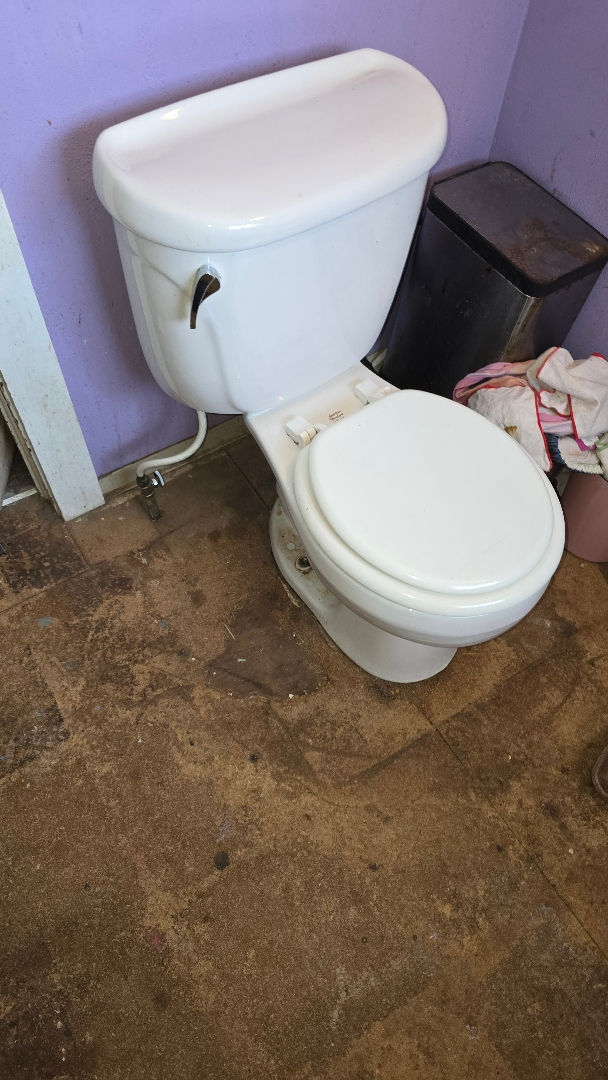 Kitchen and Washer Drain Line Replacement