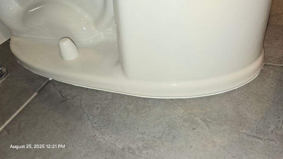 Toilet Replacement
