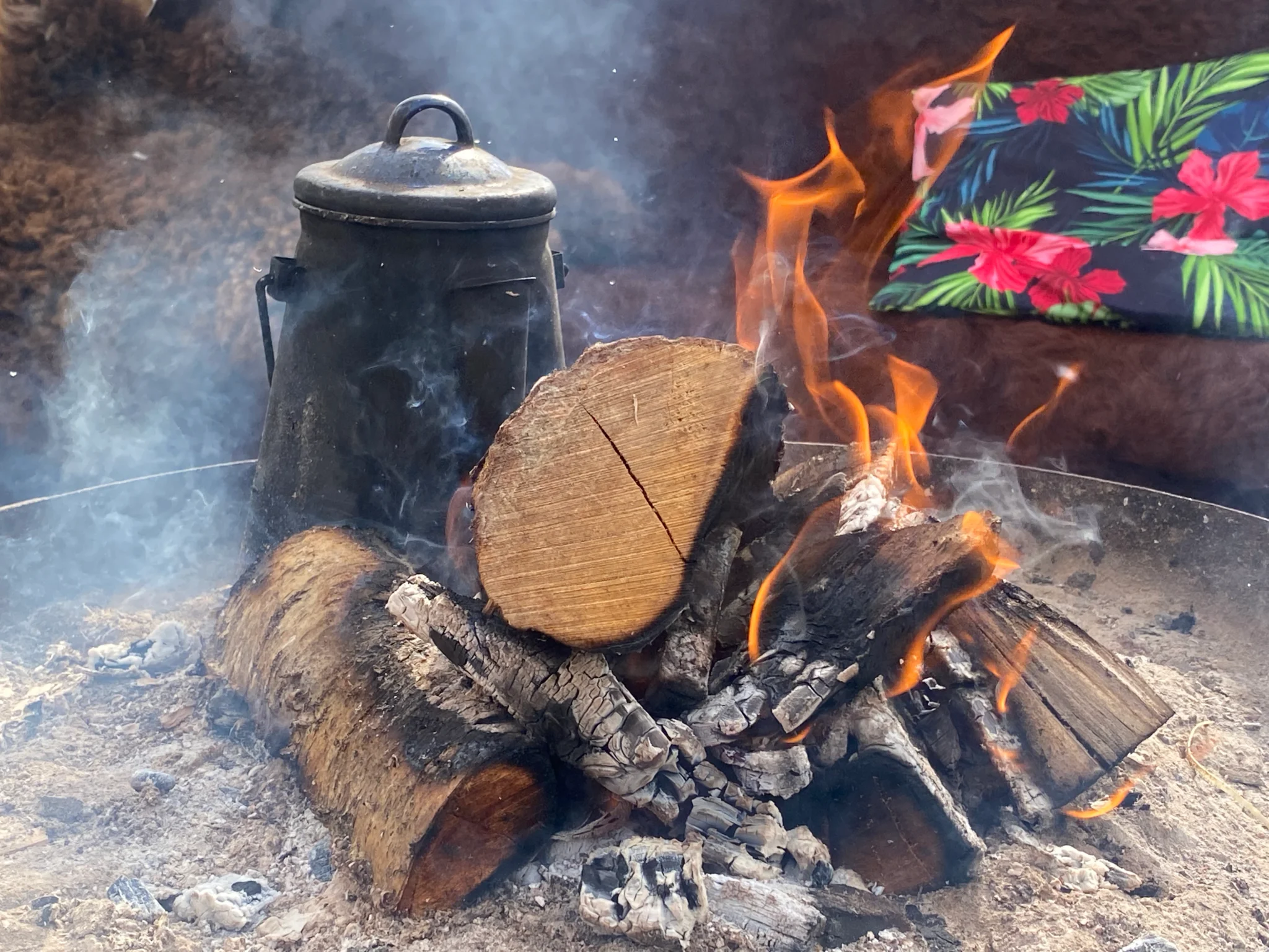 Barbecue-cooking
