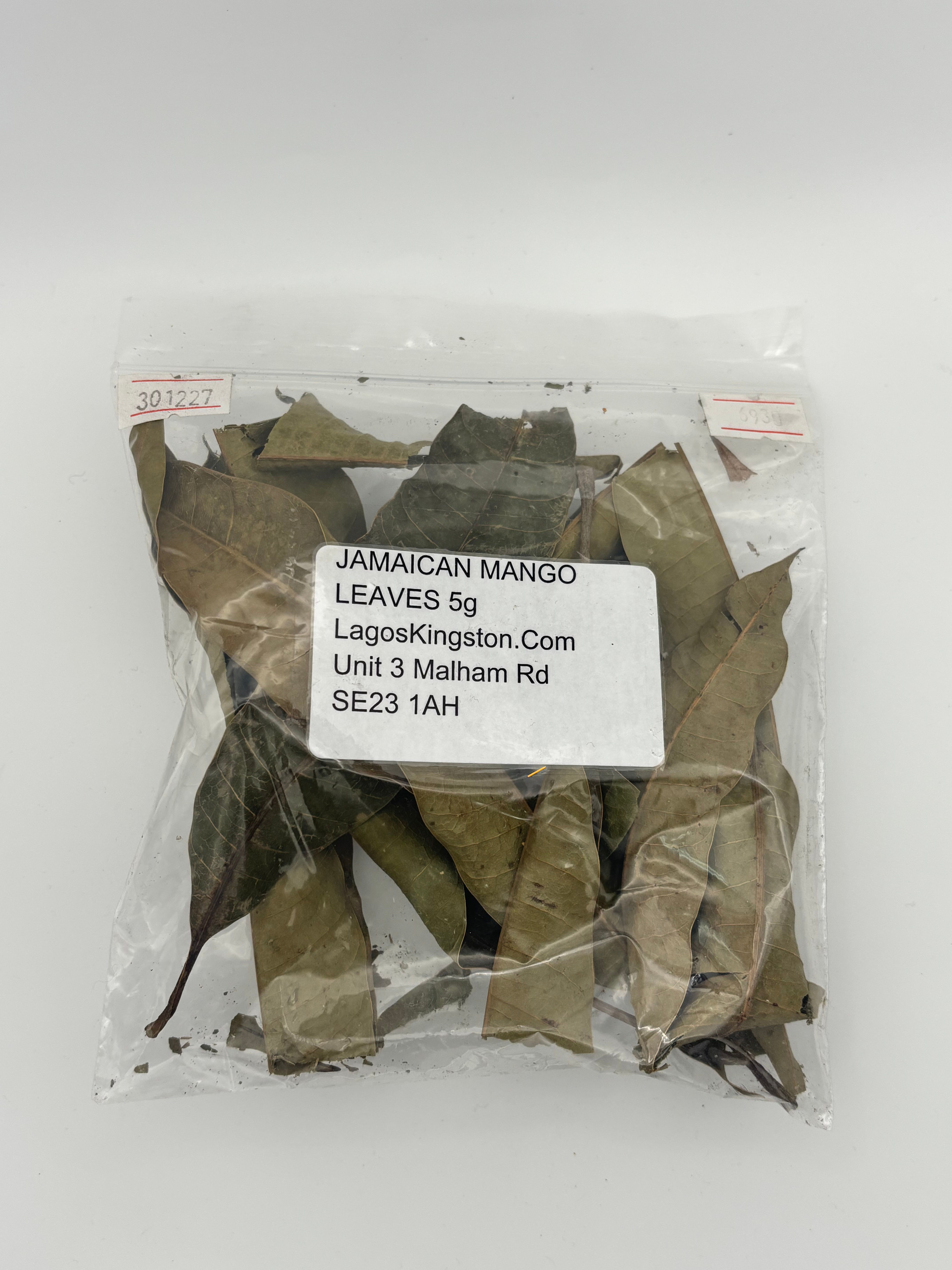 Jamaican mango leaves
