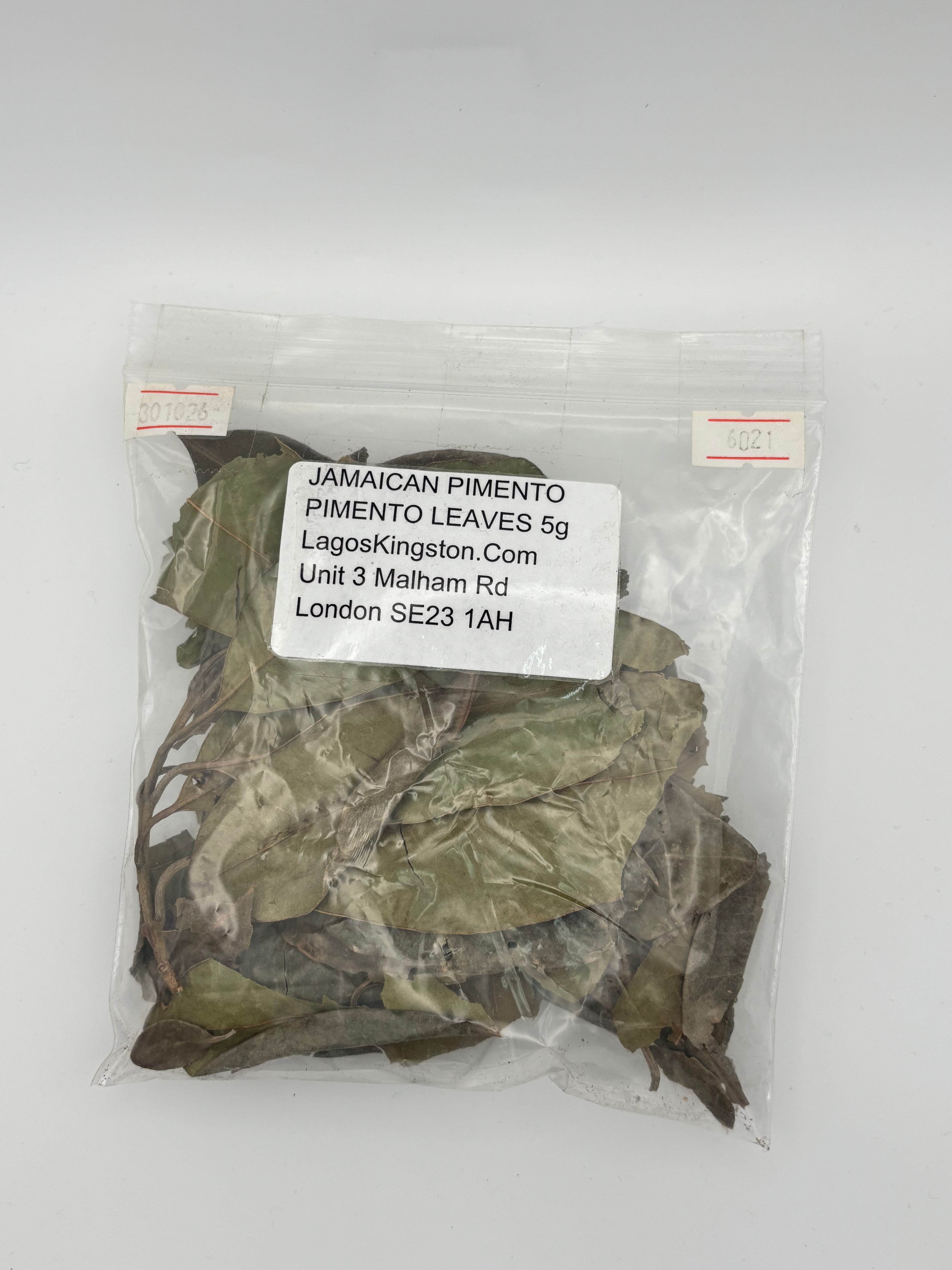 Jamaican pimento leaves