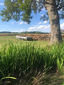 IMG_4537.JPEG