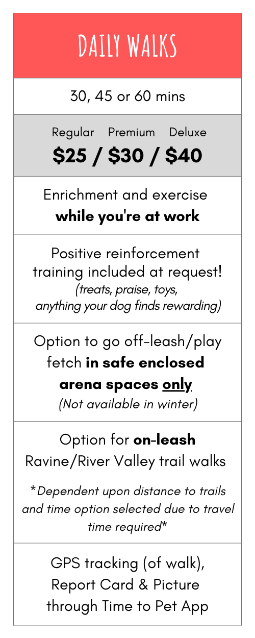 Dog WalksPrice Tables.png