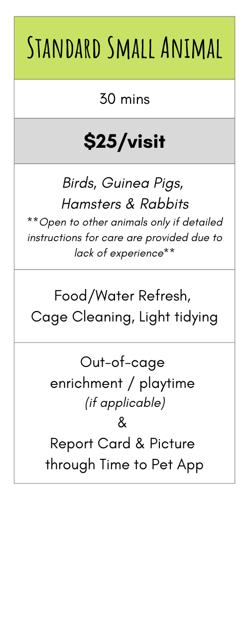 Small Animal.png