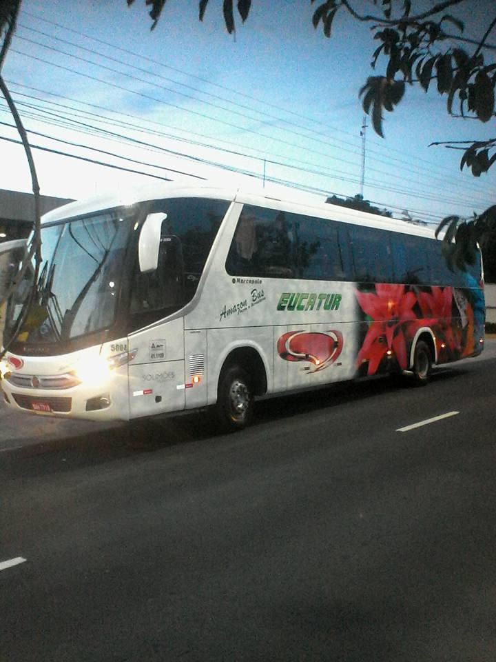 Amazon Bus/Eucatur