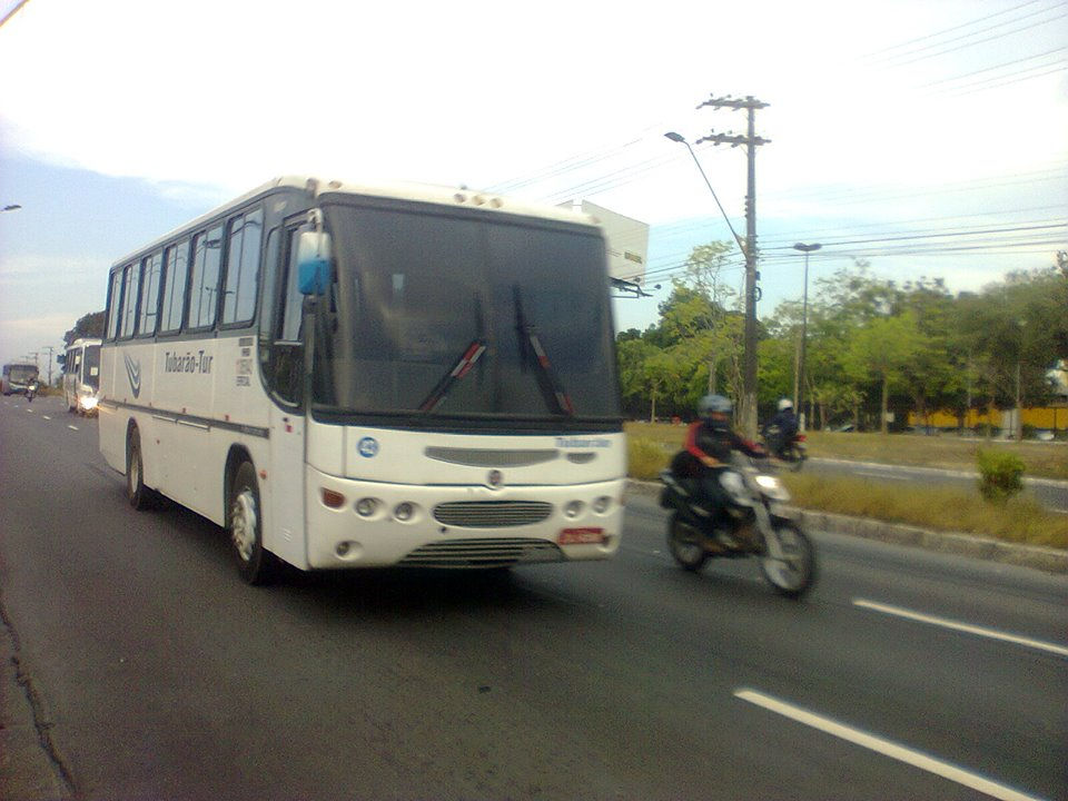 Tubarão Tur