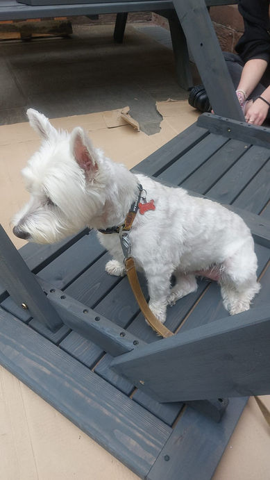 Grosvenor Park | fika+