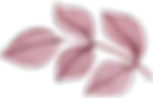 feuille