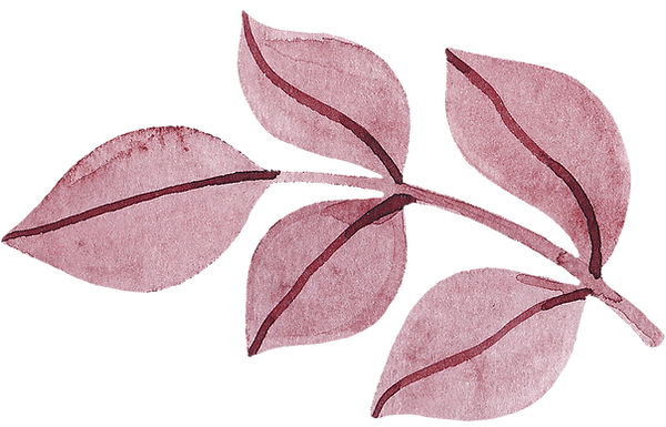 hoja
