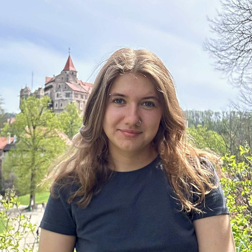 Free Walking Tour: Brno