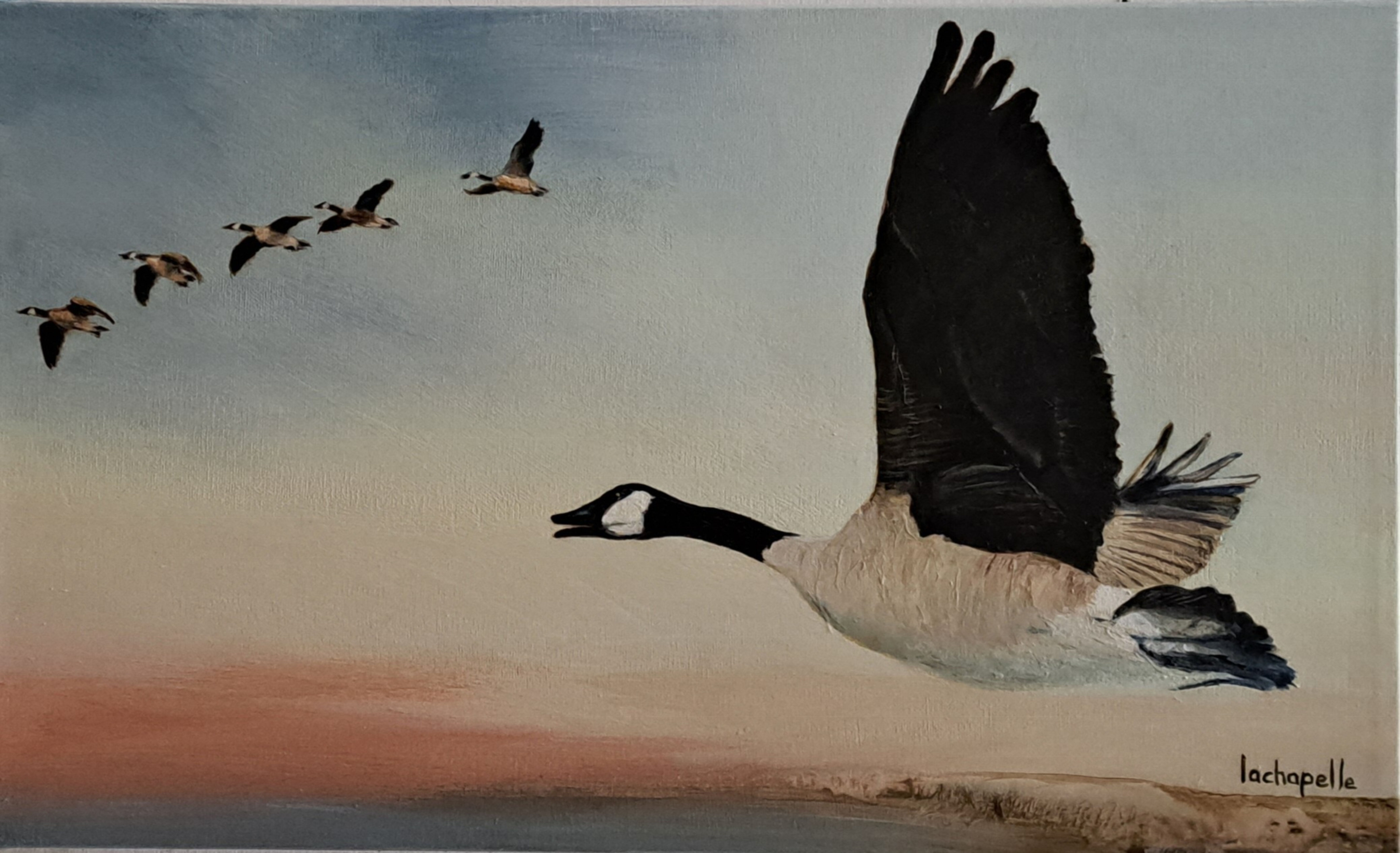 Art semi-abstrait "Bernache envolée" par l'artiste peintre Hélène Lachapelle